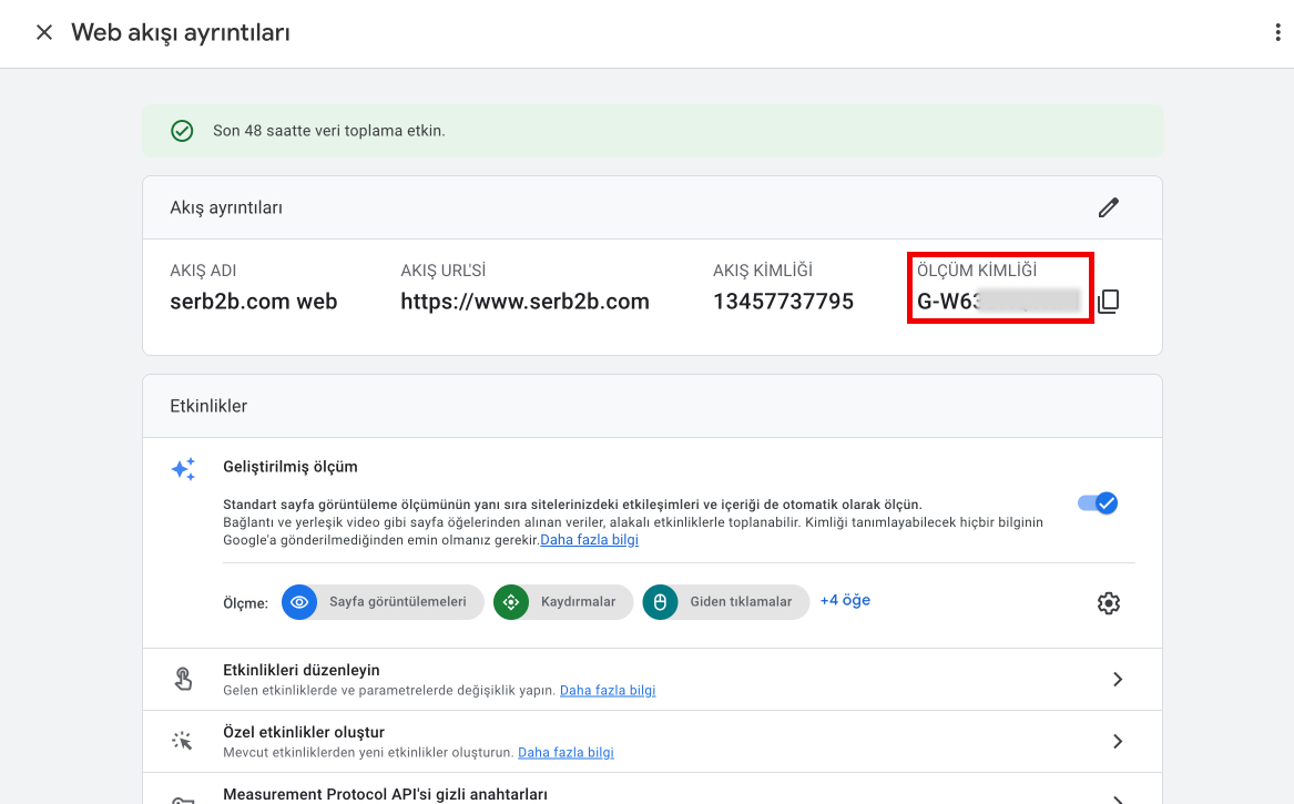 GA4 Veri Akışları - Measurement ID